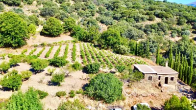 Rustic Finca on La Granja Street photo 6