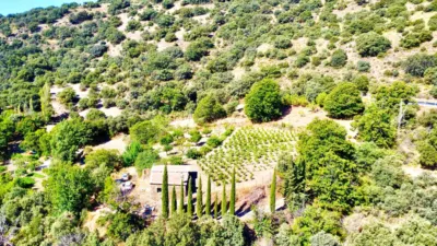 Rustic Finca on La Granja Street photo 36