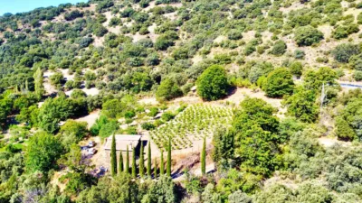 Rustic Finca on La Granja Street photo 37