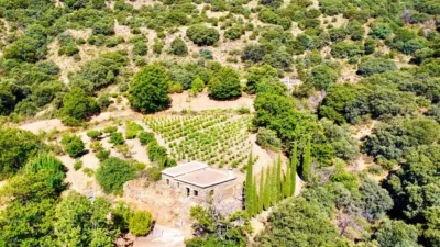 Rustic Finca on La Granja Street photo 51