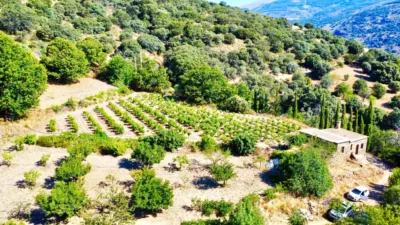 Rustic Finca on La Granja Street photo 12
