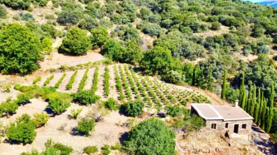 Rustic Finca on La Granja Street photo 11
