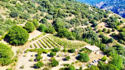 Rustic Finca on La Granja Street photo 19