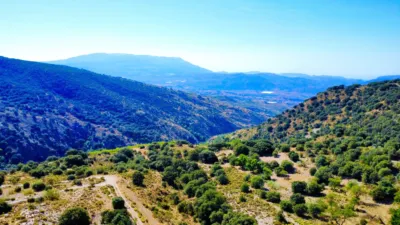 Rustic Finca on La Granja Street photo 48