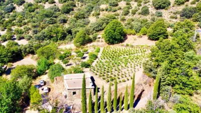 Rustic Finca on La Granja Street photo 54