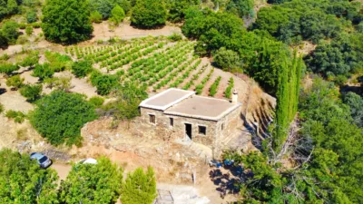Rustic Finca on La Granja Street photo 5