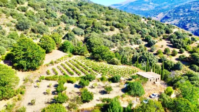 Rustic Finca on La Granja Street photo 18