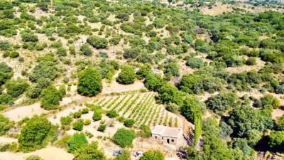 Rustic Finca on La Granja Street photo 20