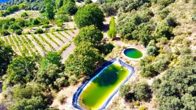 Rustic Finca on La Granja Street photo 29