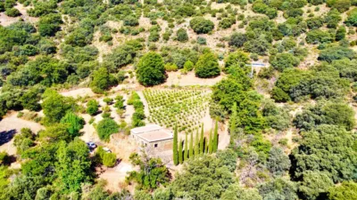Rustic Finca on La Granja Street photo 33