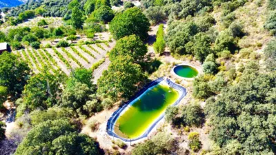 Rustic Finca on La Granja Street photo 30