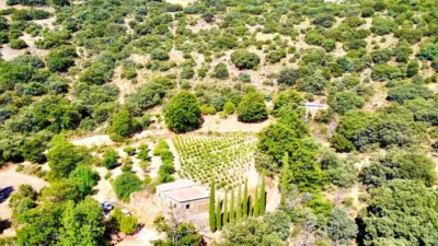 Rustic Finca on La Granja Street photo 34