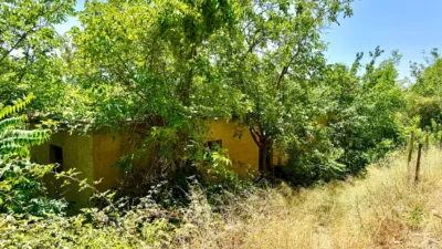 Rustic Finca on Carretera Nogales photo 24