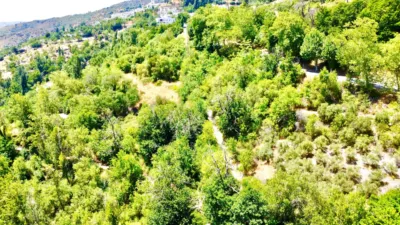 Rustic Finca on Carretera Nogales photo 33