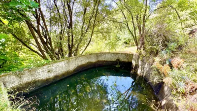 Rustic Finca on Carretera Nogales photo 22