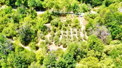 Rustic Finca on Carretera Nogales photo 29