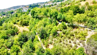 Rustic Finca on Carretera Nogales photo 34