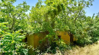 Rustic Finca on Carretera Nogales photo 23