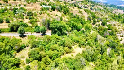 Rustic Finca on Carretera Nogales photo 35