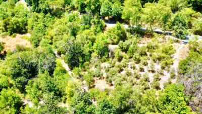 Rustic Finca on Carretera Nogales photo 30
