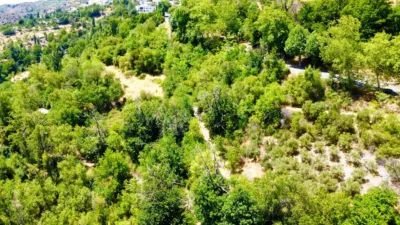 Rustic Finca on Carretera Nogales photo 32