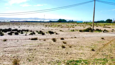 Rustic farm on Saladar and Leche Street photo 20