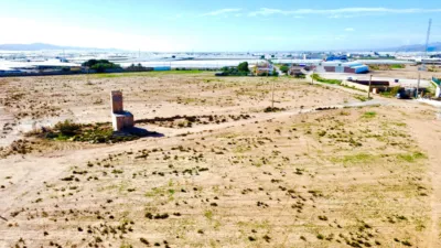 Rustic farm on Saladar and Leche Street photo 30