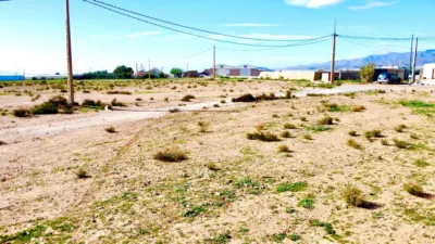 Rustic farm on Saladar and Leche Street photo 21