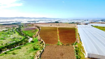 Rustic farm on Saladar and Leche Street photo 7