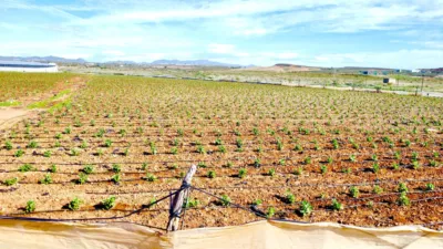 Rustic farm on Saladar and Leche Street photo 23