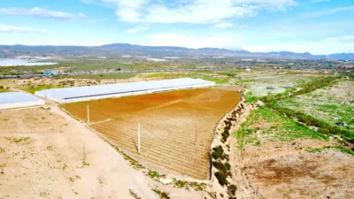 Rustic farm on Saladar and Leche Street photo 10