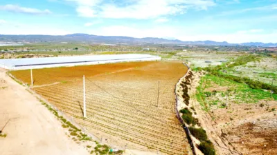 Rustic farm on Saladar and Leche Street photo 9