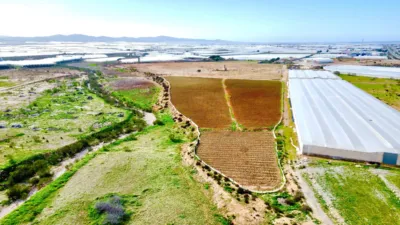 Rustic farm on Saladar and Leche Street photo 6