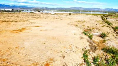 Rustic farm on Saladar and Leche Street photo 17