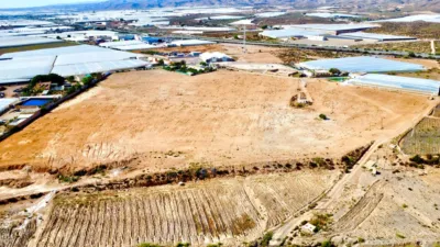 Rustic farm on Saladar and Leche Street photo 37