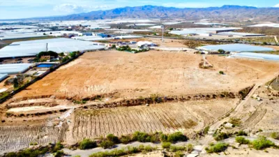 Rustic farm on Saladar and Leche Street photo 38