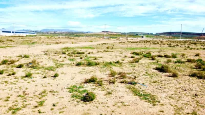 Rustic farm on Saladar and Leche Street photo 22