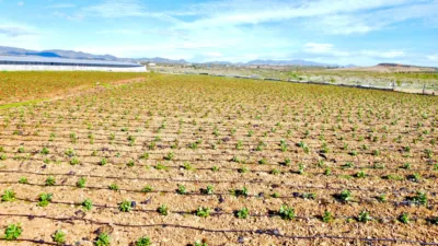 Rustic farm on Saladar and Leche Street photo 24