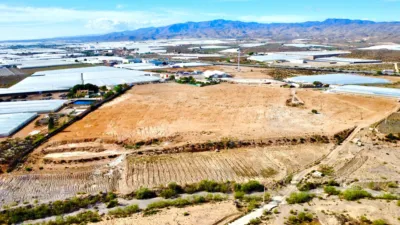 Rustic farm on Saladar and Leche Street photo 39