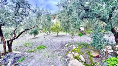 Rustic Finca in Pasaje Cortijo El Peñon photo 29