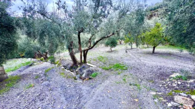 Rustic Finca in Pasaje Cortijo El Peñon photo 28