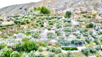 Rustic Finca in Pasaje Cortijo El Peñon photo 36