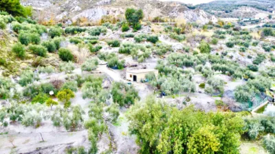 Rustic Finca in Pasaje Cortijo El Peñon photo 47