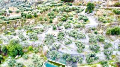 Rustic Finca in Pasaje Cortijo El Peñon photo 38
