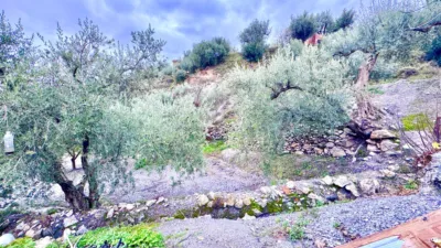 Rustic Finca in Pasaje Cortijo El Peñon photo 31