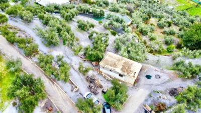 Rustic Finca in Pasaje Cortijo El Peñon photo 41