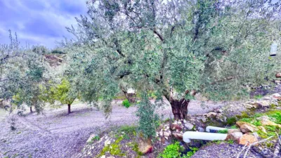 Rustic Finca in Pasaje Cortijo El Peñon photo 30