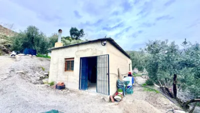 Rustic Finca in Pasaje Cortijo El Peñon photo 4