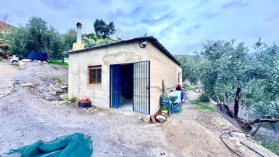 Rustic Finca in Pasaje Cortijo El Peñon photo 3