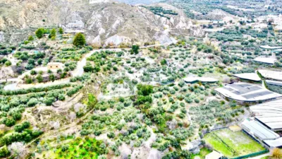 Rustic Finca in Pasaje Cortijo El Peñon photo 50